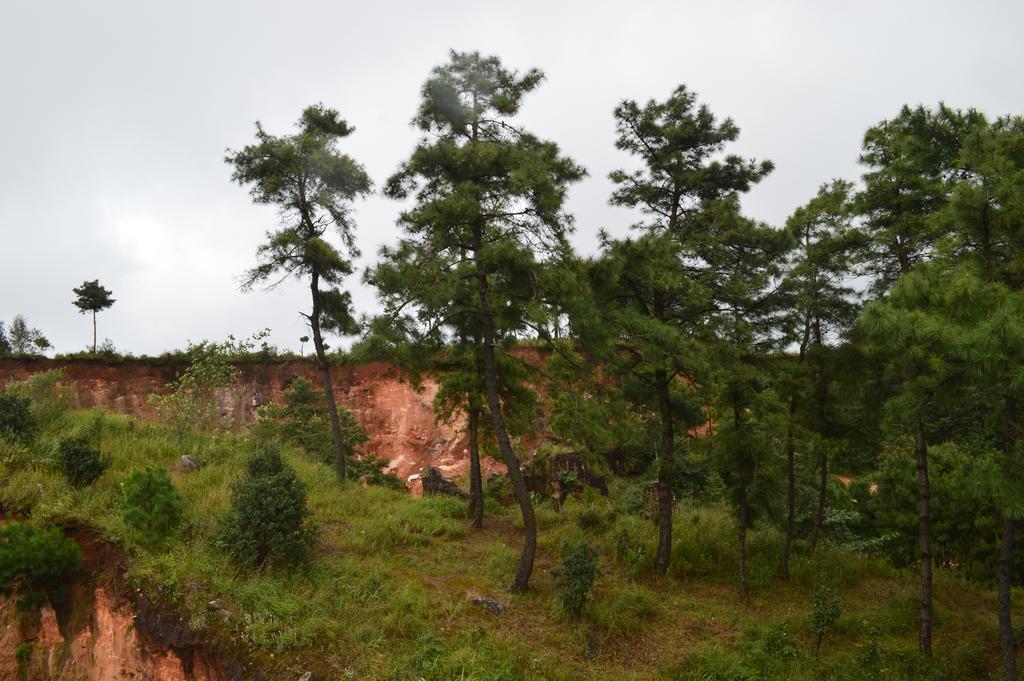 Orange Homestay Shillong Esterno foto